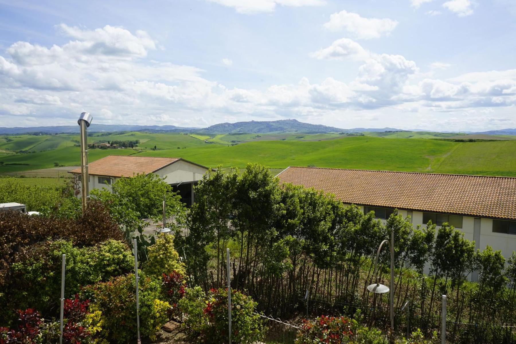 Agriturismo Signorini Orciatico Zewnętrze zdjęcie
