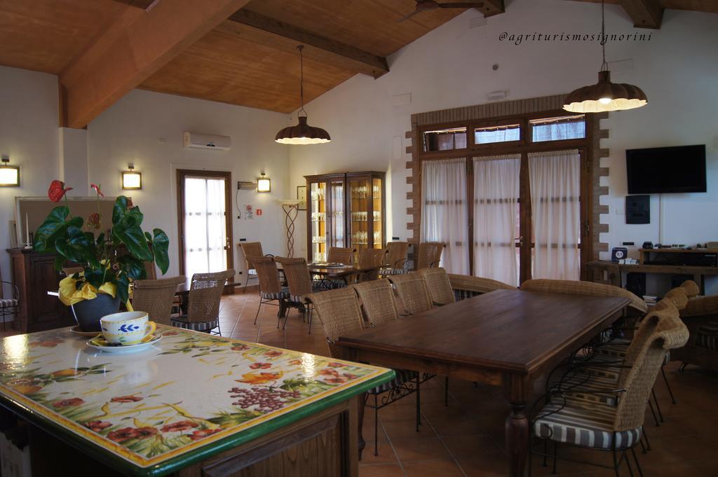 Agriturismo Signorini Orciatico Zewnętrze zdjęcie