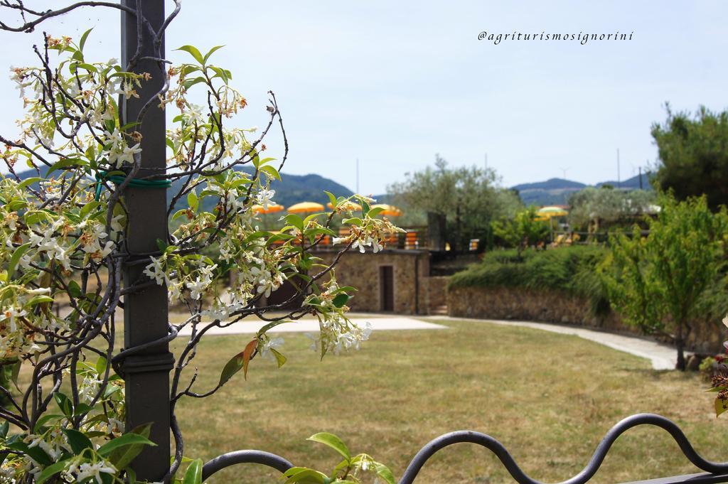 Agriturismo Signorini Orciatico Zewnętrze zdjęcie