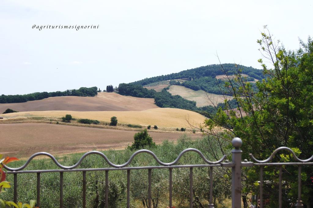 Agriturismo Signorini Orciatico Zewnętrze zdjęcie