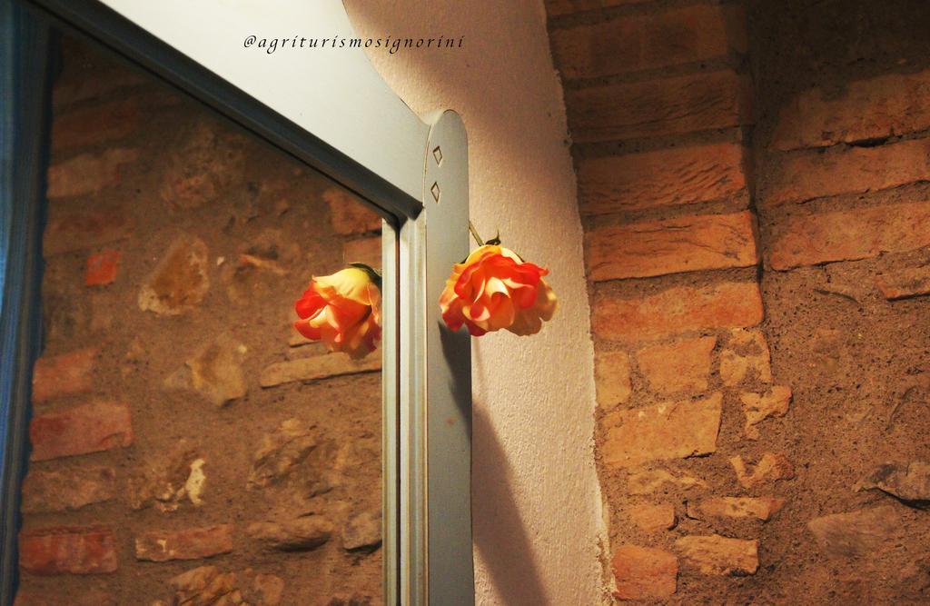 Agriturismo Signorini Orciatico Zewnętrze zdjęcie