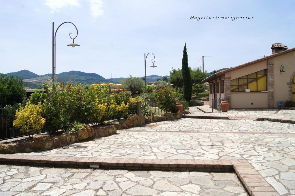Agriturismo Signorini Orciatico Zewnętrze zdjęcie