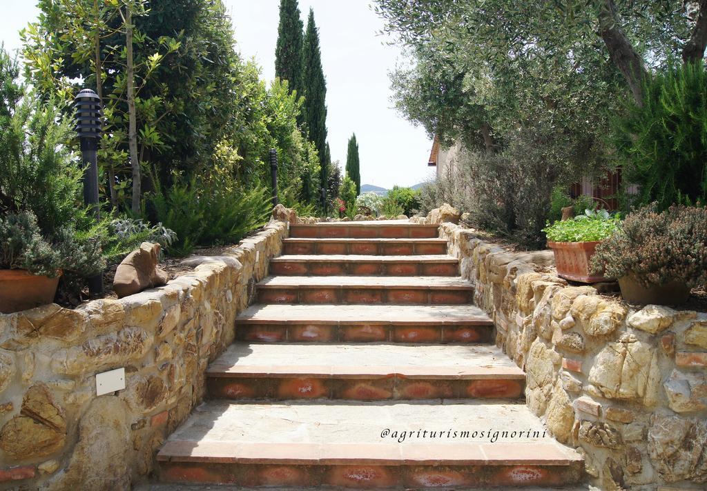 Agriturismo Signorini Orciatico Zewnętrze zdjęcie