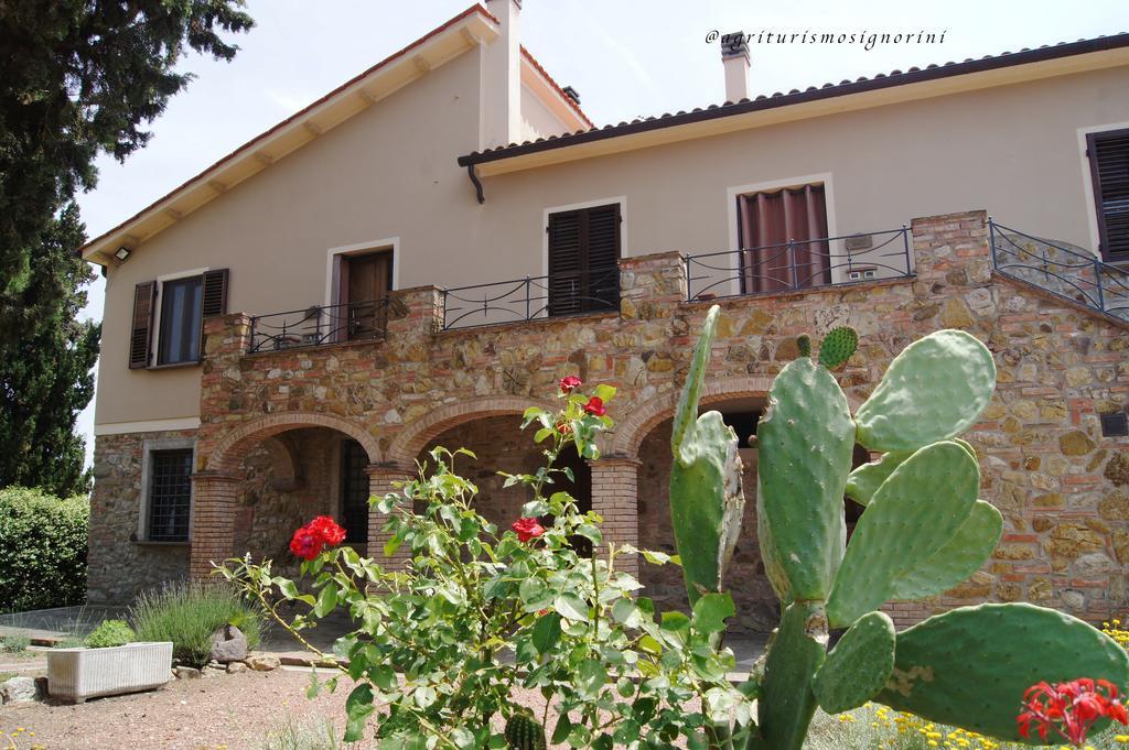 Agriturismo Signorini Orciatico Zewnętrze zdjęcie