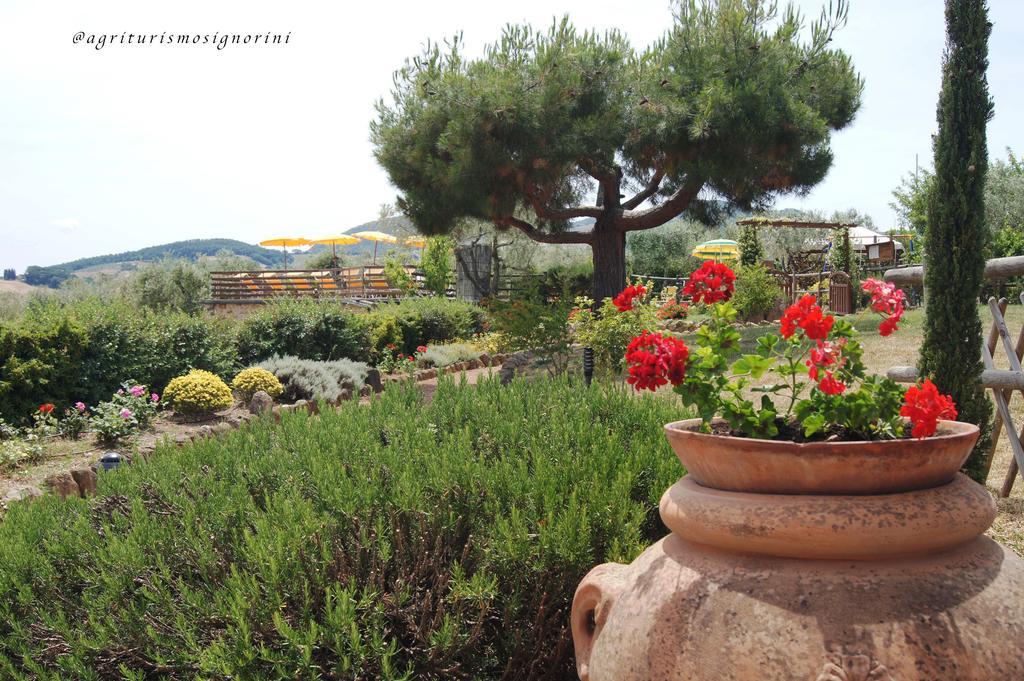 Agriturismo Signorini Orciatico Zewnętrze zdjęcie