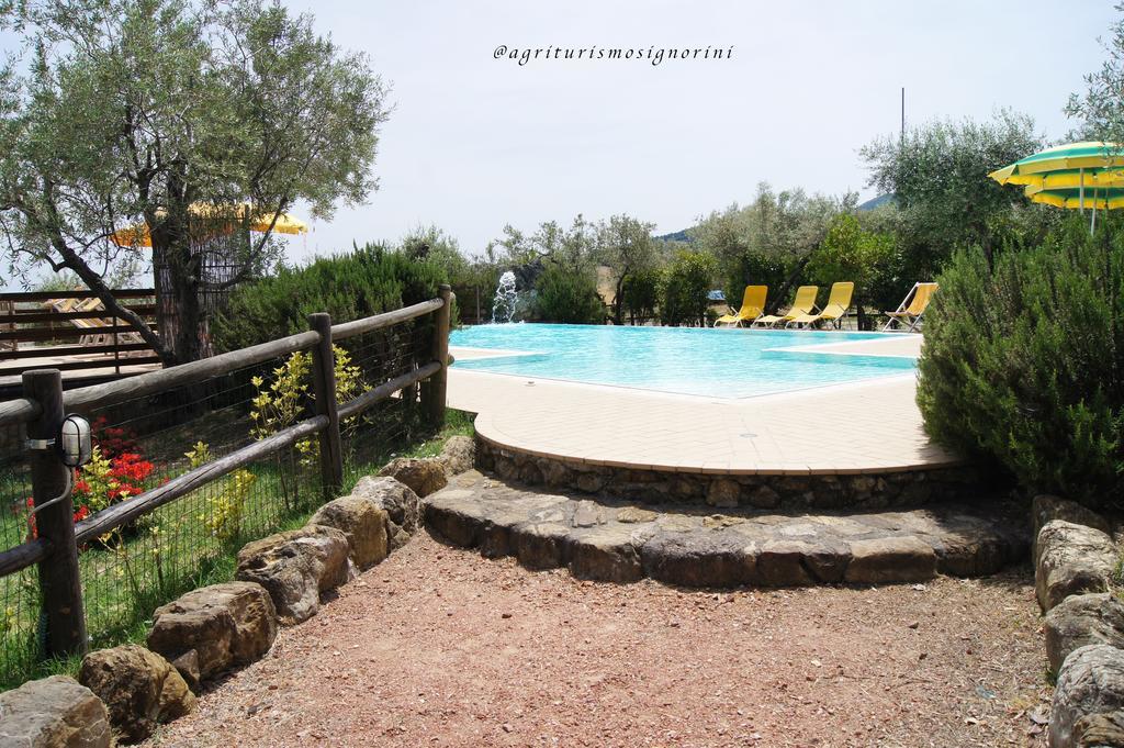 Agriturismo Signorini Orciatico Zewnętrze zdjęcie