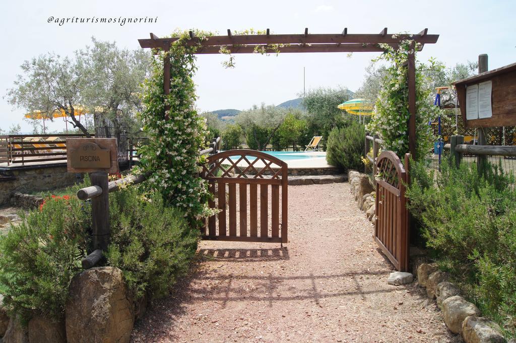 Agriturismo Signorini Orciatico Zewnętrze zdjęcie