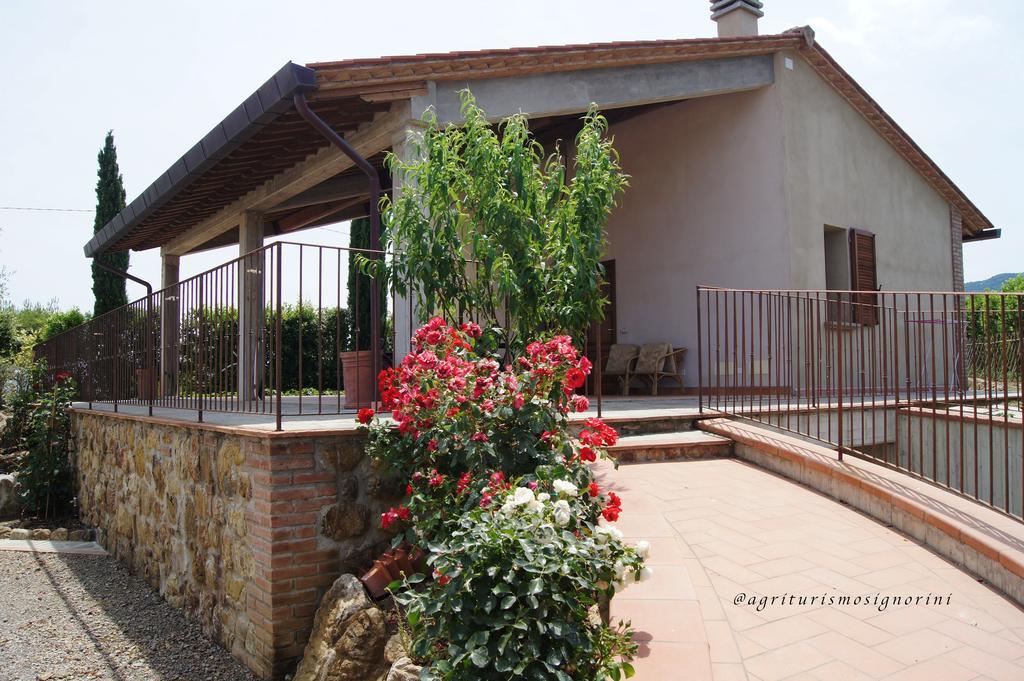 Agriturismo Signorini Orciatico Zewnętrze zdjęcie