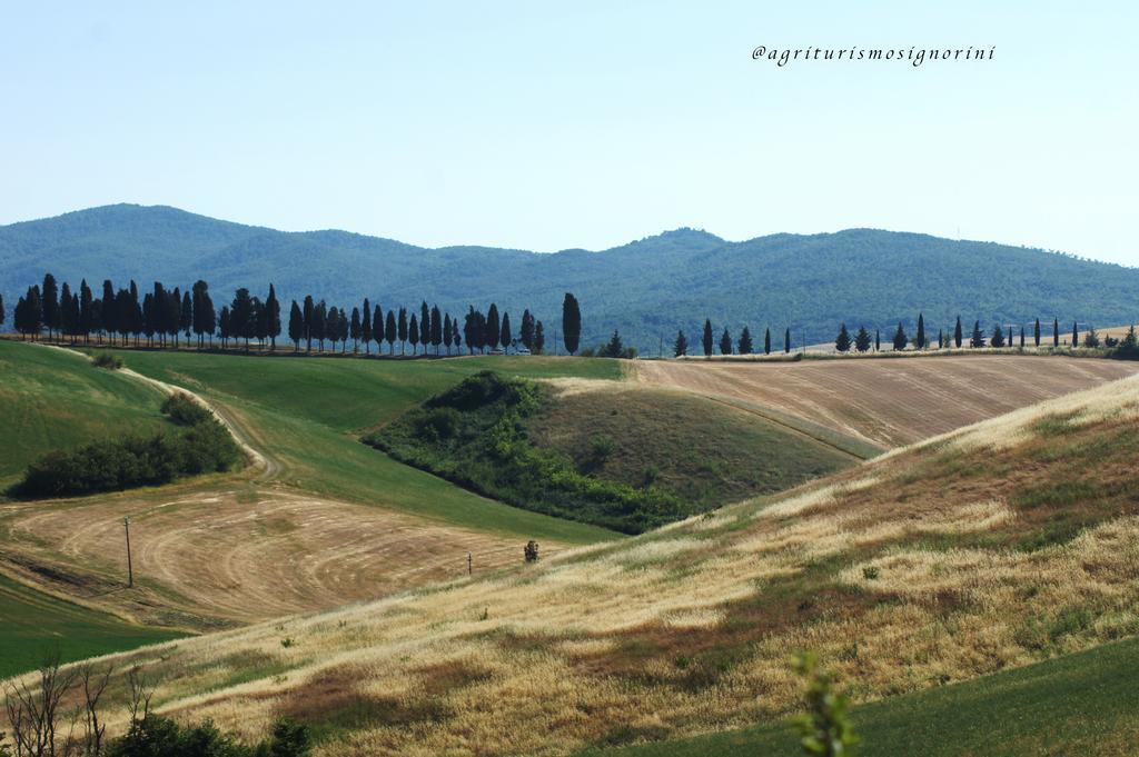 Agriturismo Signorini Orciatico Zewnętrze zdjęcie