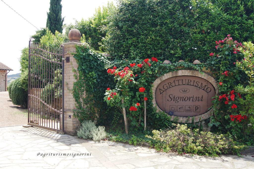 Agriturismo Signorini Orciatico Zewnętrze zdjęcie