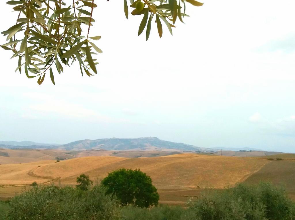 Agriturismo Signorini Orciatico Zewnętrze zdjęcie